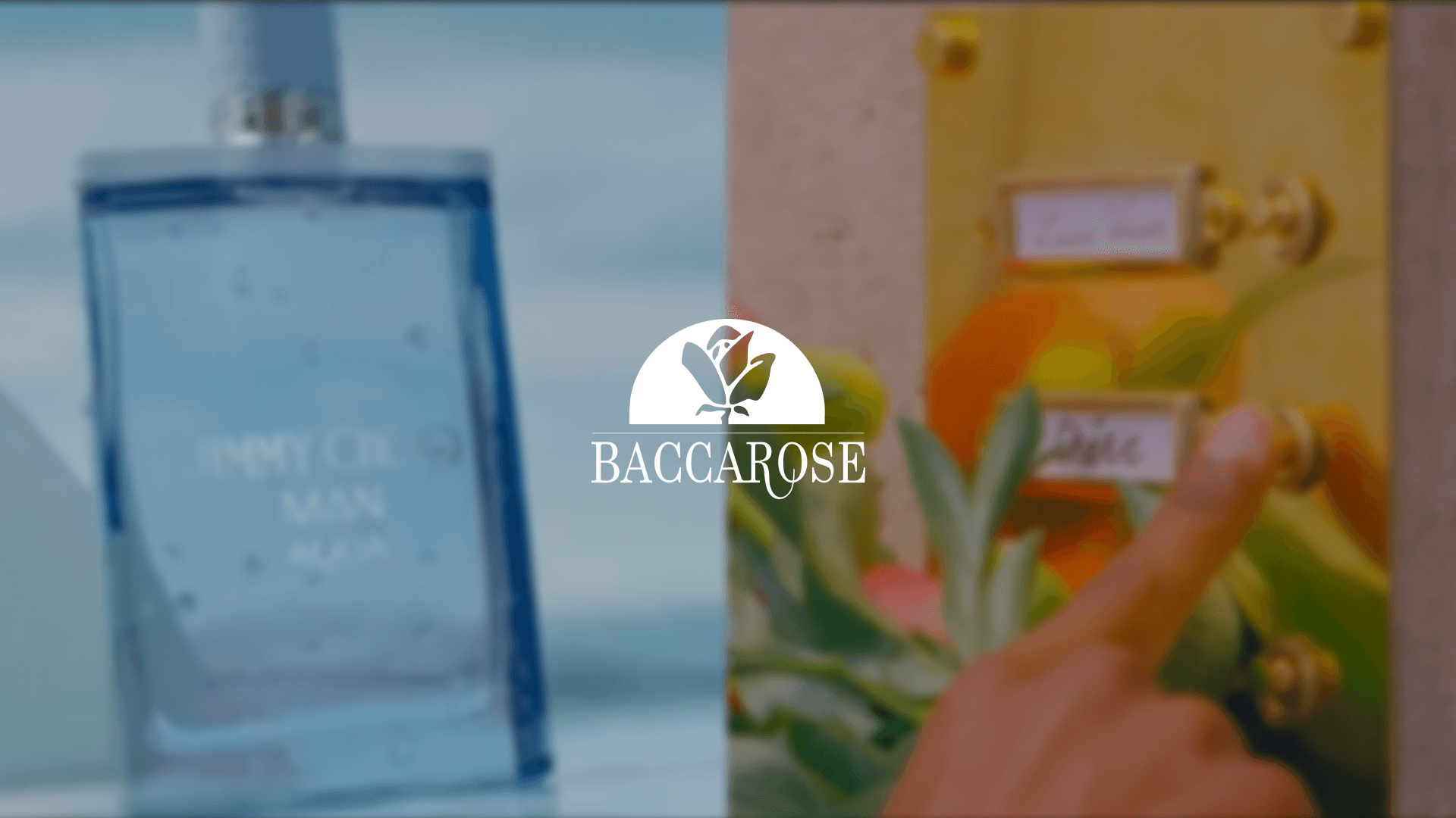 Baccarose brand image
